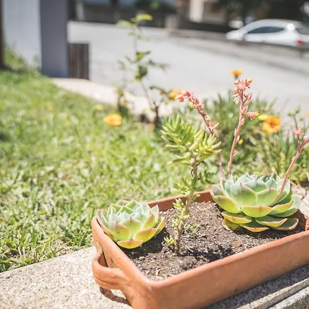 德尔瓦酒店 Cerva